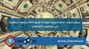 سعر الدولار أمام الجنيه اليوم 12 مايو 2025 يشهد استقرارًا في منتصف التعاملات